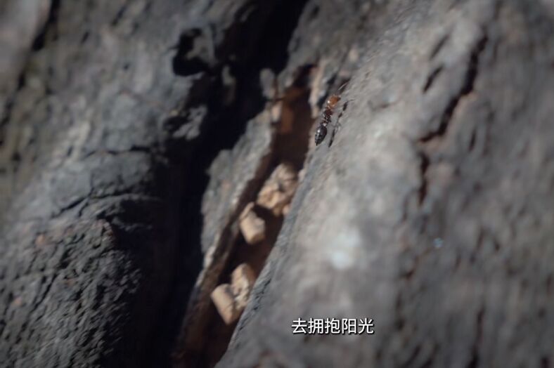 888(1)_看圖王.jpg