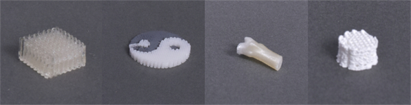 萊普E系列經濟版生物3D打印機上市，博見三維推動醫工科研創新