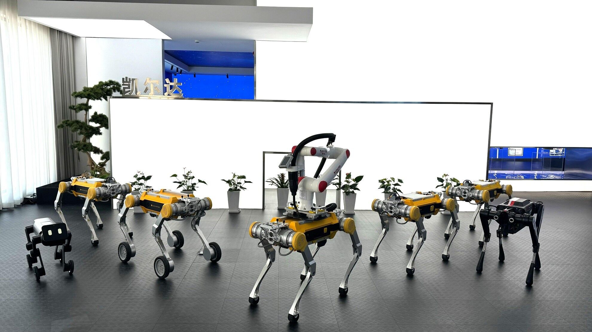 999.jpg